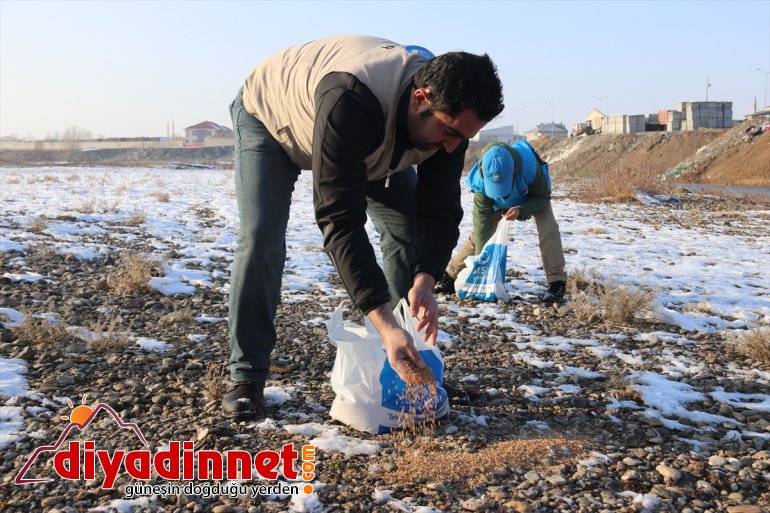 Ağrılı gönüllüler yaban hayvanları için seferber oldu3