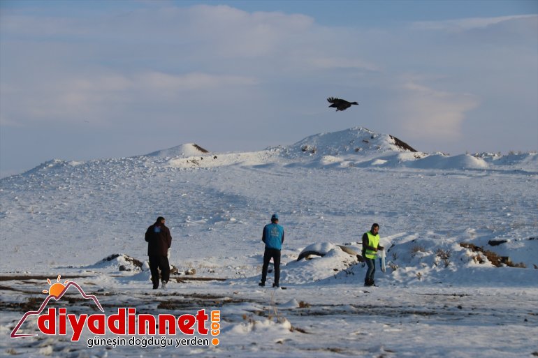 Ağrılı gönüllüler yaban hayvanları için seferber oldu5