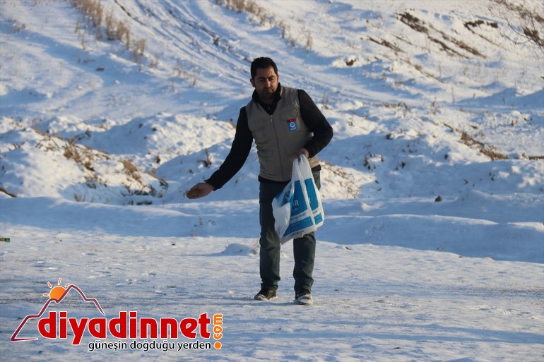 Ağrılı gönüllüler yaban hayvanları için seferber oldu7