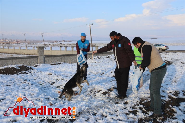 Ağrılı gönüllüler yaban hayvanları için seferber oldu10