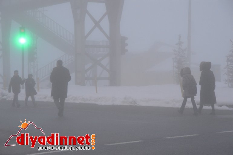 Ağrı'da yoğun sis etkili oluyor