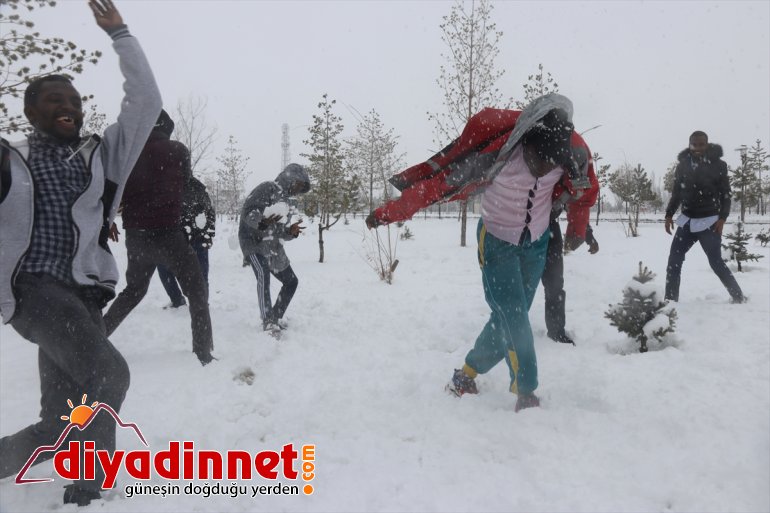 Karla ilk kez Ağrı