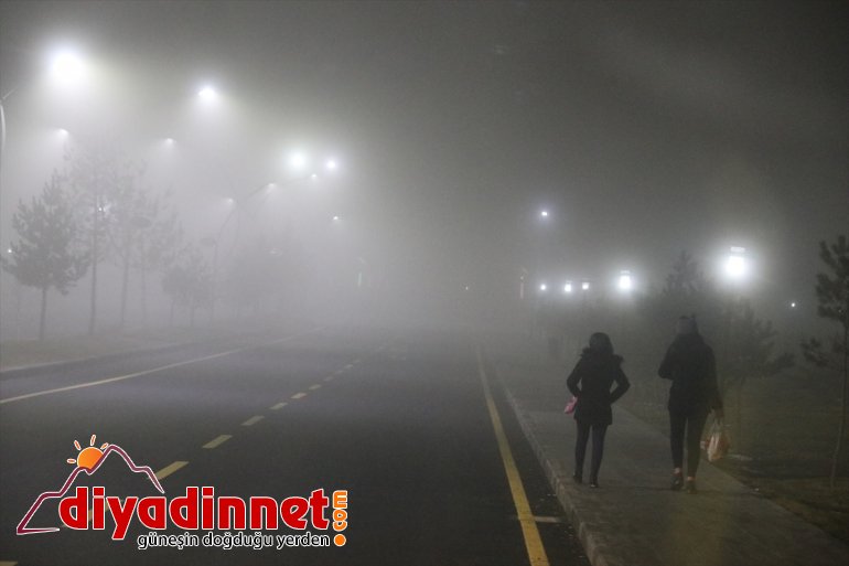 Yoğun sis etkili oluyor - AĞRI 2
