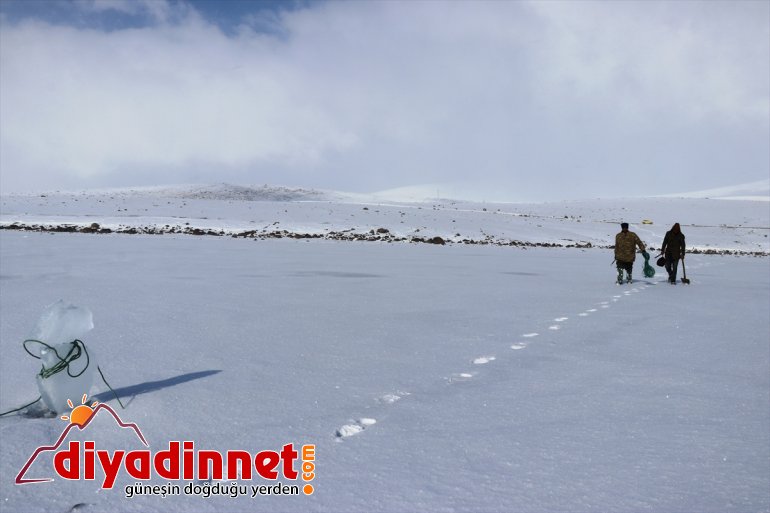 Balık gölünde balık avı