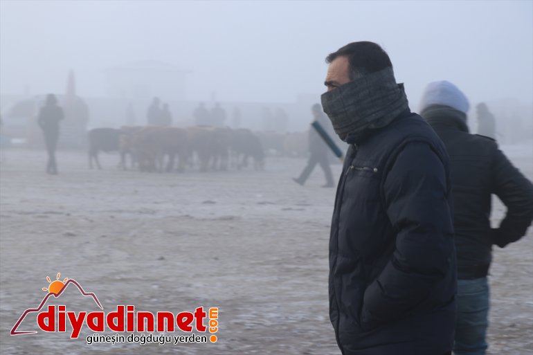 Ağrı da dondurucu soğuklar etkisini sürdürüyor3