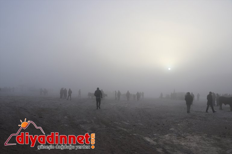 Ağrı da dondurucu soğuklar etkisini sürdürüyor5