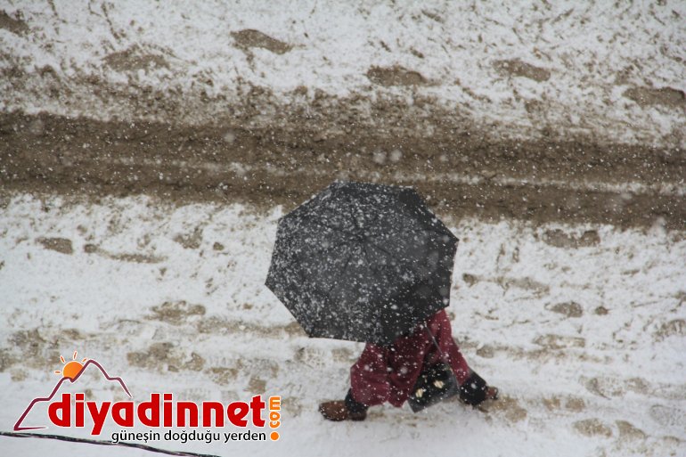 ağrı soğuk hava yerini kar yağışına bıraktı4