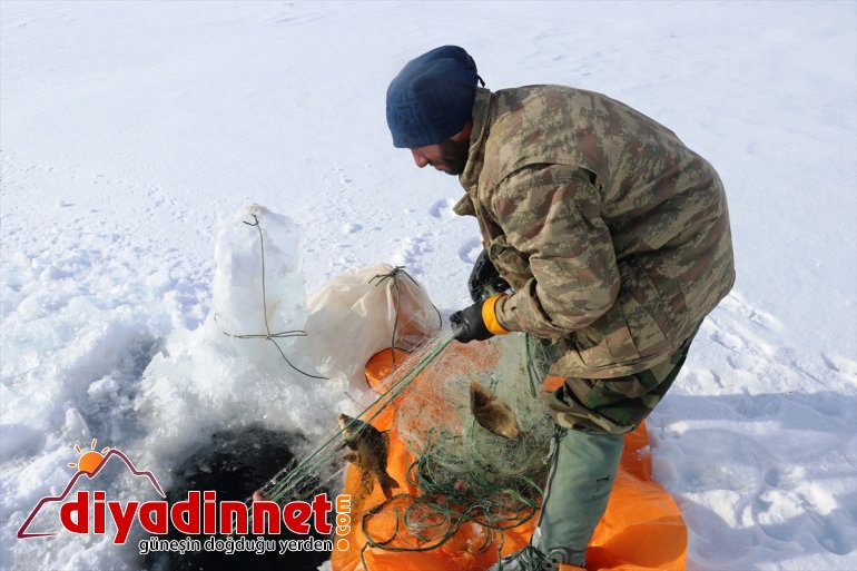 avı - kaplı 241 AĞRI rakımlı balık gölde Buzla zorlu bin 2 5