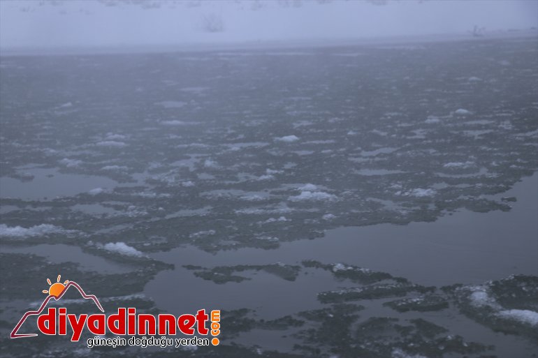 Murat Nehri buzla kaplandı - AĞRI6