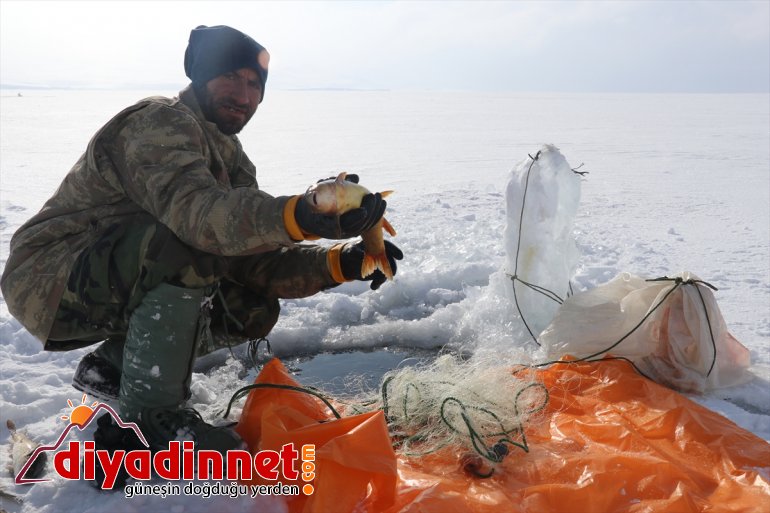 avcılık balıkçılık