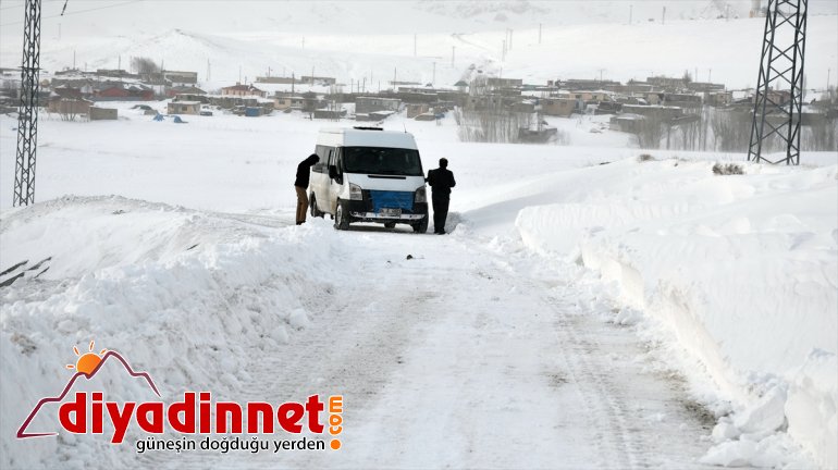 yolda kurtarıldı AĞRI - tipi 13