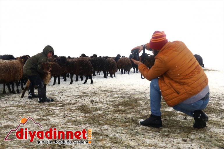 yaparak Anadolu Türkiye otostop  insanını tanımak - çıktı turuna AĞRI için 11