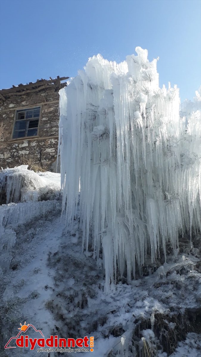 fışkıran dondu Elazığ