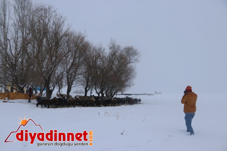 insanını yaparak  turuna için Türkiye otostop çıktı tanımak AĞRI - Anadolu 2