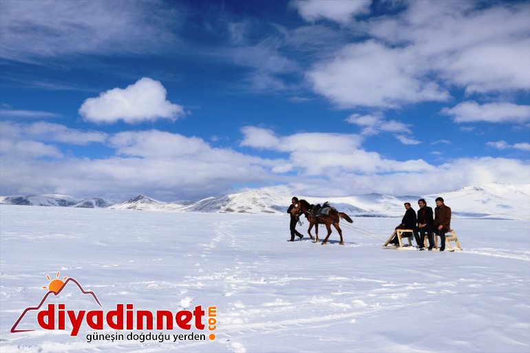 festivaliyle -  Çıldır