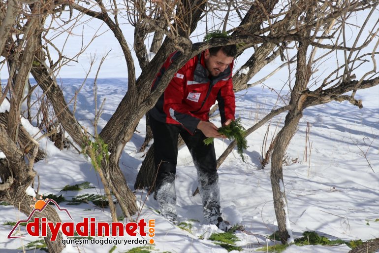 Kara kış ta aç kalan yabani hayvanları unutmadılar3