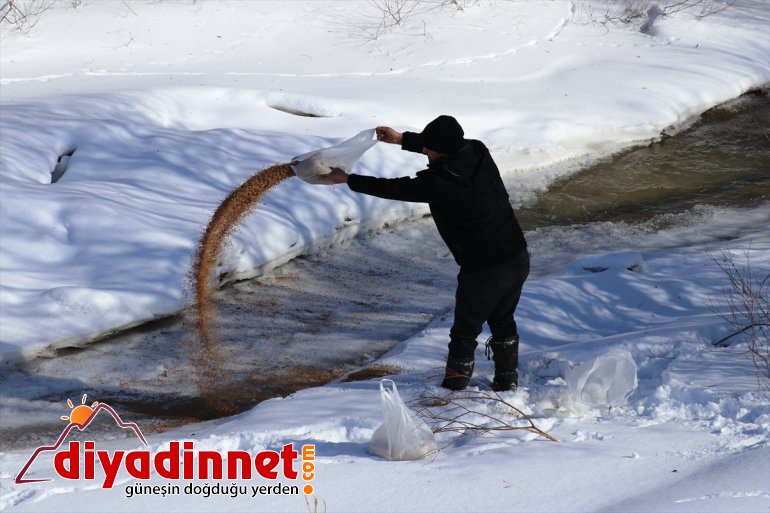 Kara kış ta aç kalan yabani hayvanları unutmadılar5