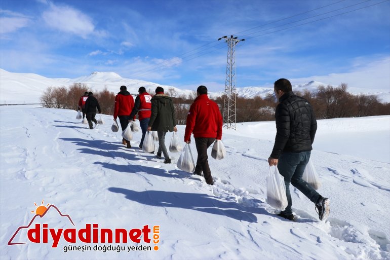 Kara kış ta aç kalan yabani hayvanları unutmadılar6