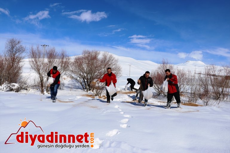 Kara kış ta aç kalan yabani hayvanları unutmadılar8