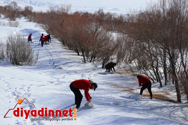 Kara kış ta aç kalan yabani hayvanları unutmadılar9