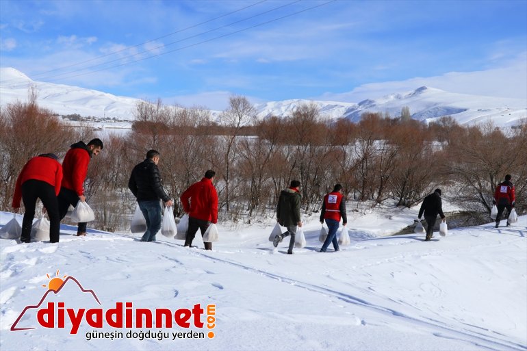 Kara kış ta aç kalan yabani hayvanları unutmadılar10