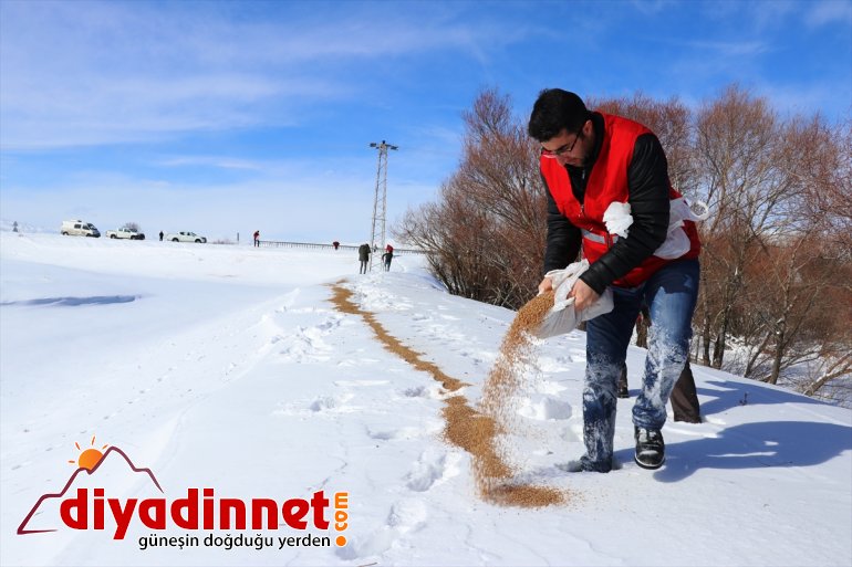 Kara kış ta aç kalan yabani hayvanları unutmadılar12