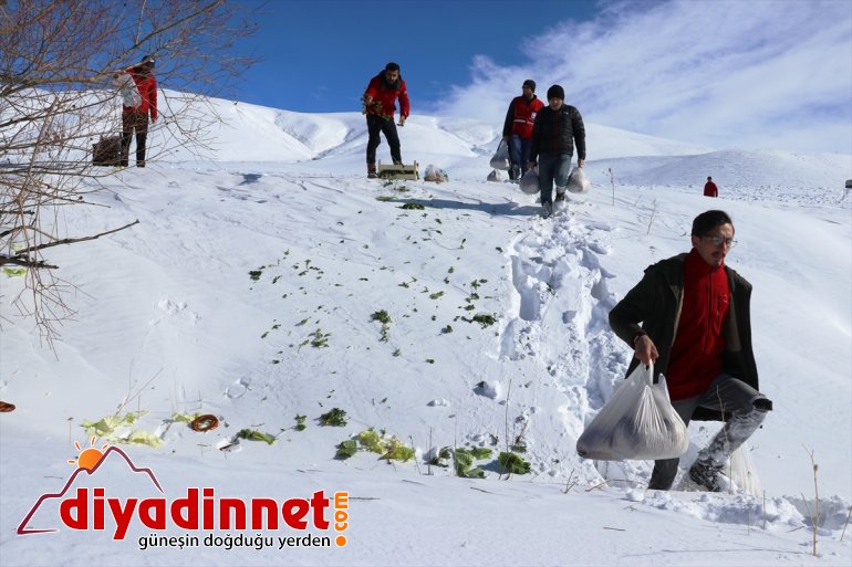 Kara kış ta aç kalan yabani hayvanları unutmadılar13