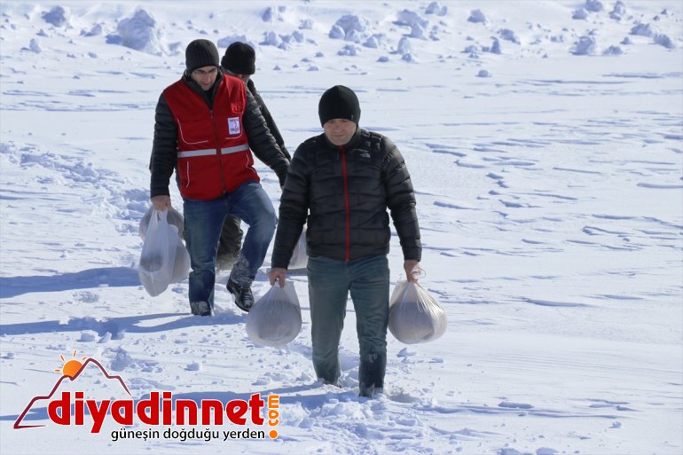 Kara kış ta aç kalan yabani hayvanları unutmadılar14