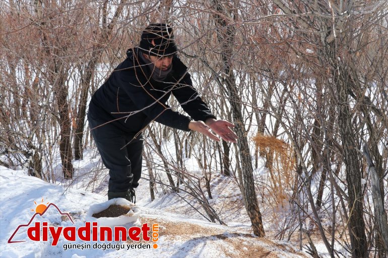 Kara kış ta aç kalan yabani hayvanları unutmadılar15