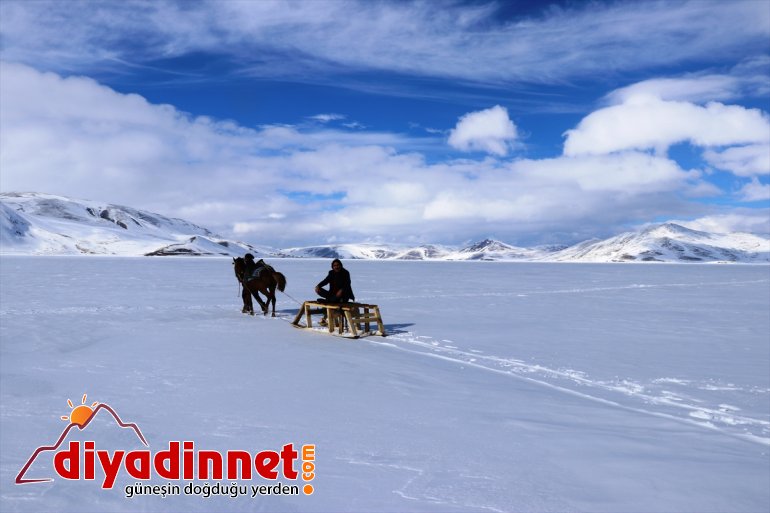  aratmayacak Çıldır