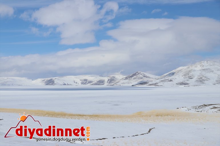 Ağrı'daki "1. Balık Gölü Kış Festivali" iptal edildi