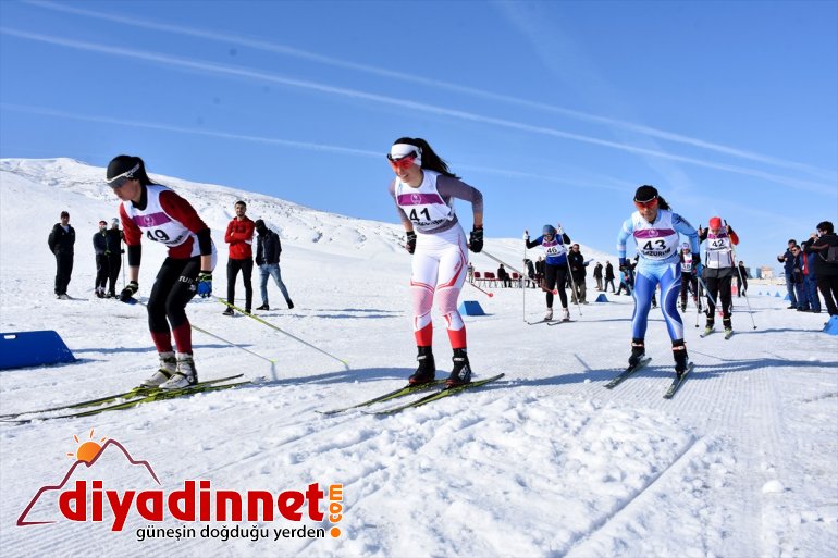 Üniversitelerarası Muş