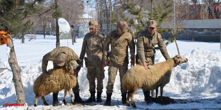 Merkez İlçe Jandarma Komutanlığı hizmet binası açıldı - MUŞ1