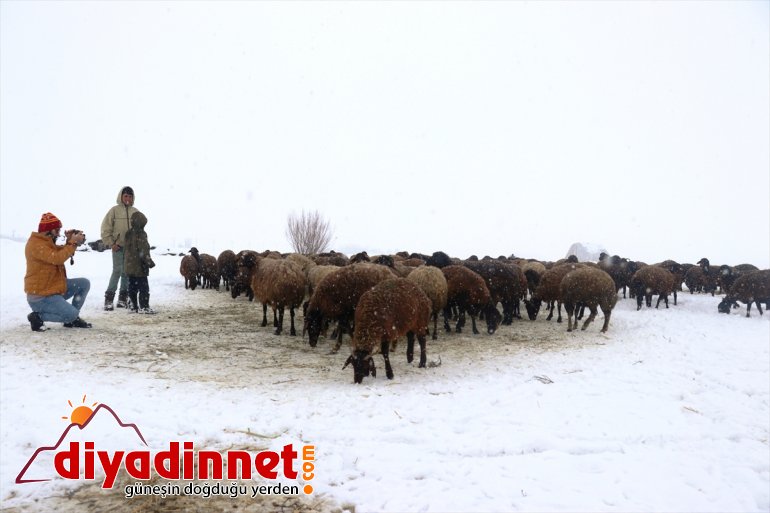 Anadolu insanını tanımak için otostop yaparak Türkiye turuna çıktı