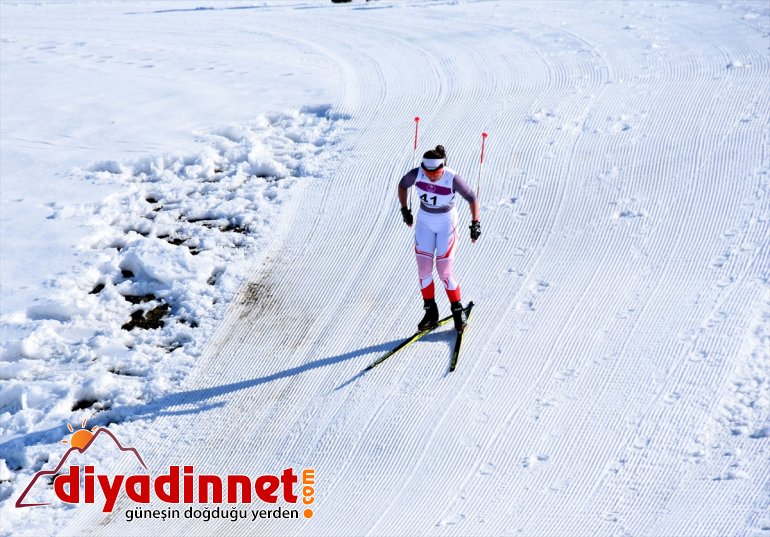 Şampiyonası Türkiye sona erdi Koşu Muş