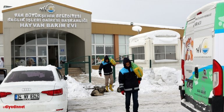 Van Büyükşehir Belediyesi sokak hayvanlarını unutmadı1