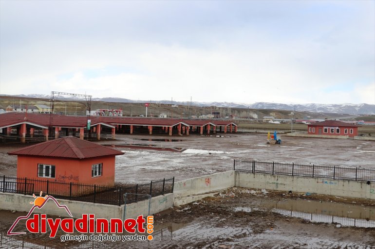 hayvan canlı koronavirüs tedbirleri kapatıldı Kars Ağrı