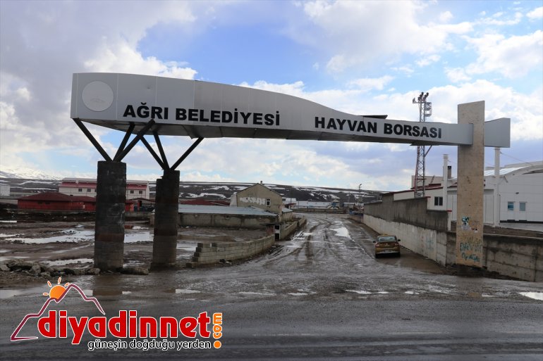 kapsamında koronavirüs Kars hayvan canlı Ağrı