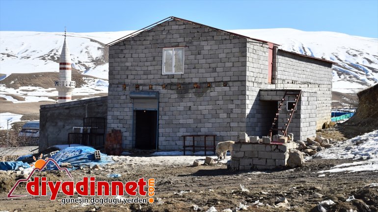 AĞRI siparişlere olduğu üretiminde yetişemiyor İlk şimdi - mantar denemelerinde başarısız 10