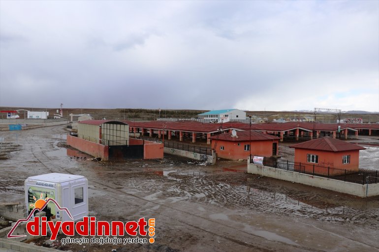 koronavirüs Kars kapatıldı hayvan tedbirleri Ağrı