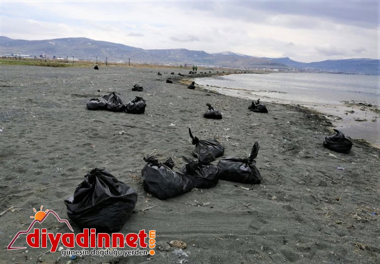 100 toplandı Gölü ton Van çöp sahillerinde 2