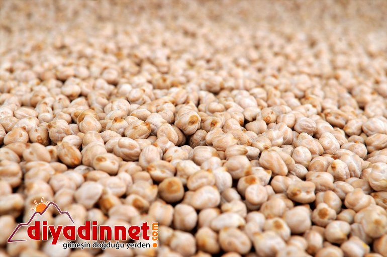 verilen BİNGÖL tohumlar hibeyle - yüzde buluştu toprakla 75 Çiftçilere 3