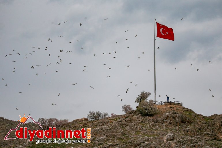 ziyaretçisiz güzelliği - Akdamar Adası