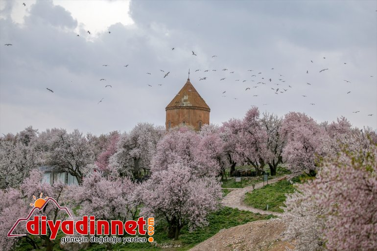 kaldı VAN - güzelliği Adası
