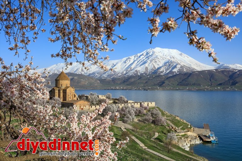 büyülüyor Adası çiçek VAN açan Akdamar -  badem ağaçlarıyla 3