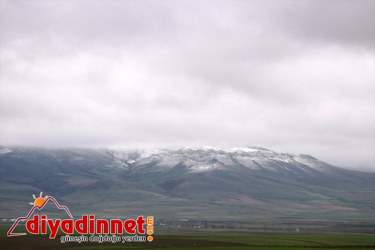 büründü Yüksek nisanda AĞRI beyaza kesimler - 4