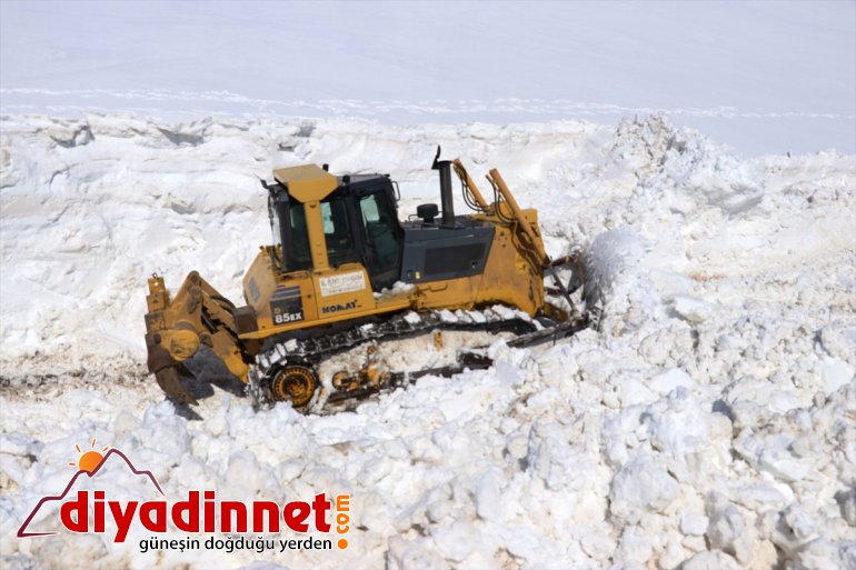 - AĞRI yoğun kaplanları Kar da mesaide nisanda 13