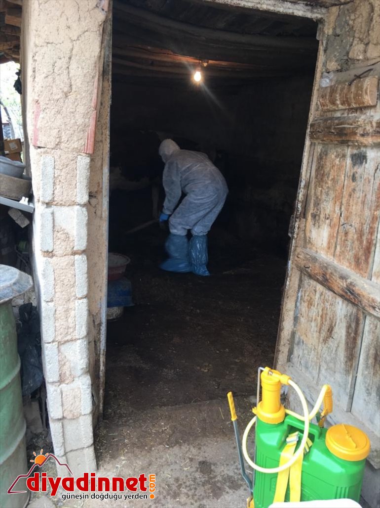 ailenin Vefa Karantina ekibi Sosyal baktı Destek hayvanlarına altındaki 1