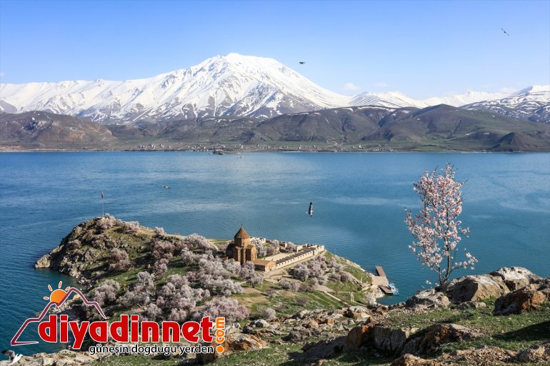 Akdamar Adası çiçek açan badem ağaçlarıyla büyülüyor