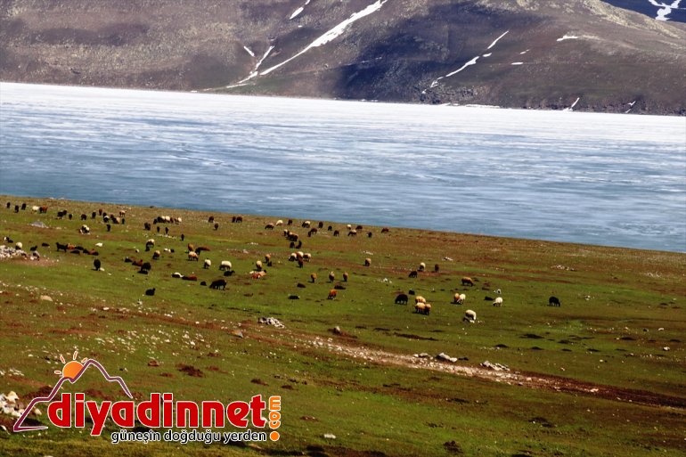 - Balık saklı Anadolu